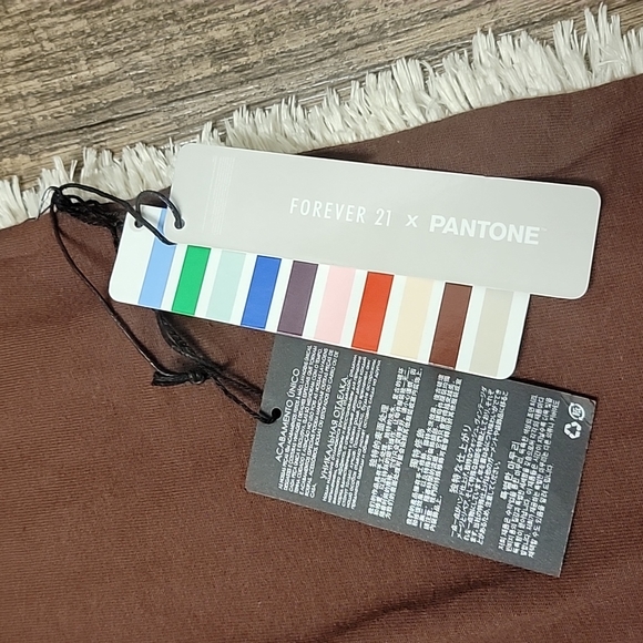 Panetone x Forever 21 | Brown Embroidered T Shirt - Picture 9 of 11